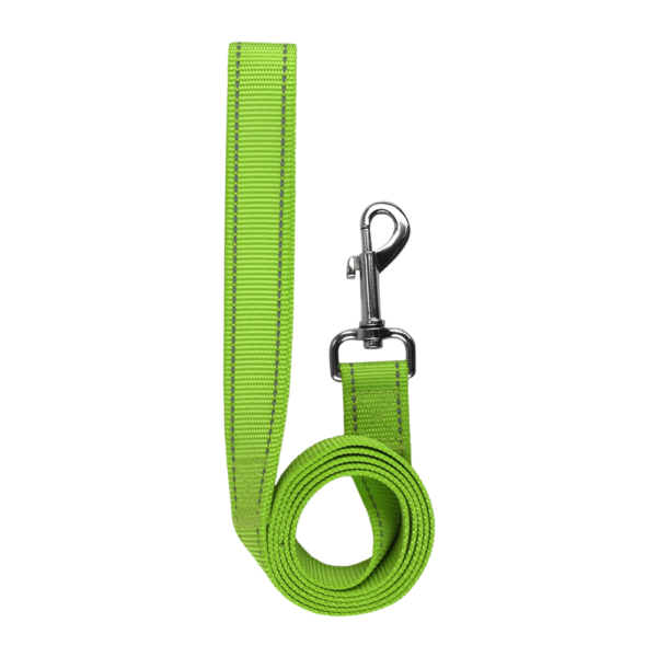 SET ARNES Y CORREA TRENDY CH VERDE