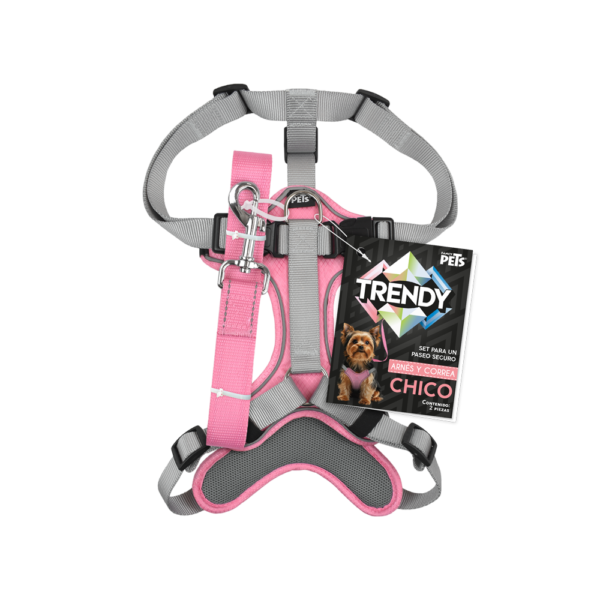 SET ARNES Y CORREA TRENDY CH ROSA