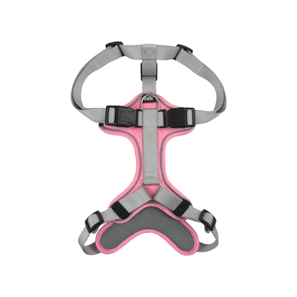 SET ARNES Y CORREA TRENDY CH ROSA