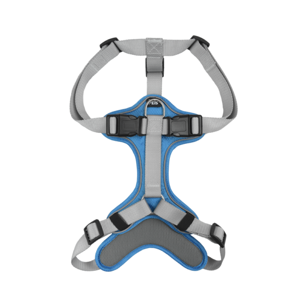 SET ARNES Y CORREA TRENDY MED AZUL