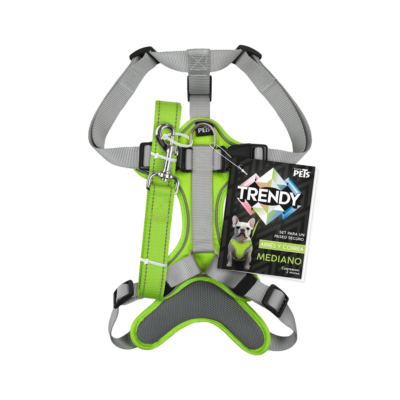 SET ARNES Y CORREA TRENDY MED VERDE