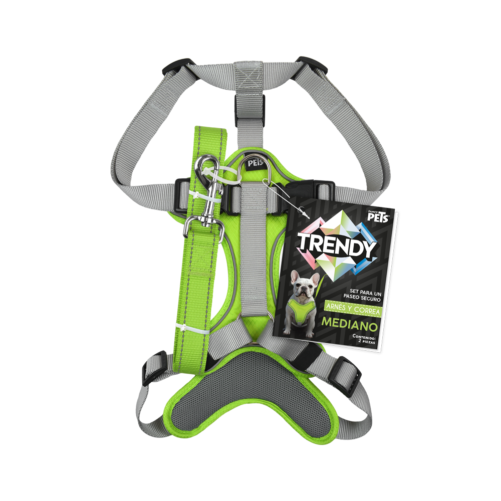SET ARNES Y CORREA TRENDY MED VERDE
