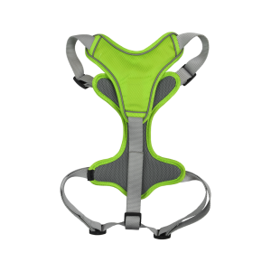 SET ARNES Y CORREA TRENDY MED VERDE