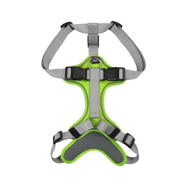 SET ARNES Y CORREA TRENDY MED VERDE