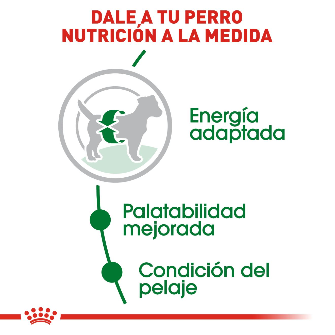 ROYAL CANIN SMALL ADULT 6.36 KG