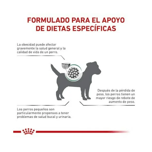 ROYAL CANIN SATIETY SUPPORT SMALL DOG 3 KG