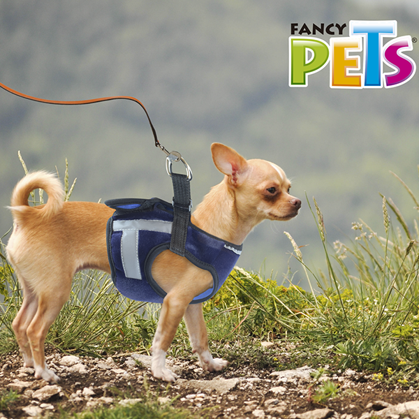 TX40721_M_2 ARNES BAYAB CHICO