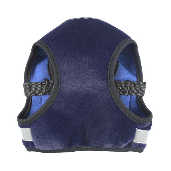 TX40723_C_2 ARNES BAYAB GDE