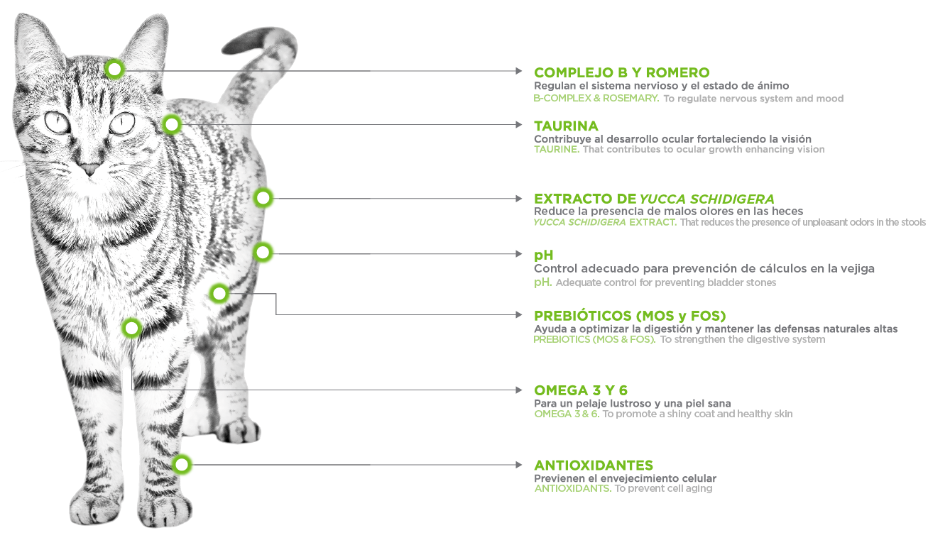 NUPEC FELINO ADULTO INDOOR 5KG