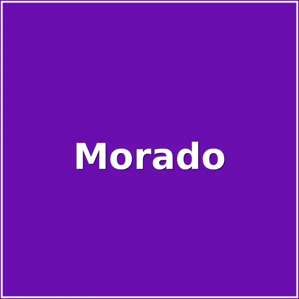 Placa Grabable Hueso Grande para Identificación Perro | Varios Colores