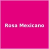 placa-color-rosa-mexicano Placa Grabable Estrella Mediano para Identificación Perros y Gatos | Varios Colores