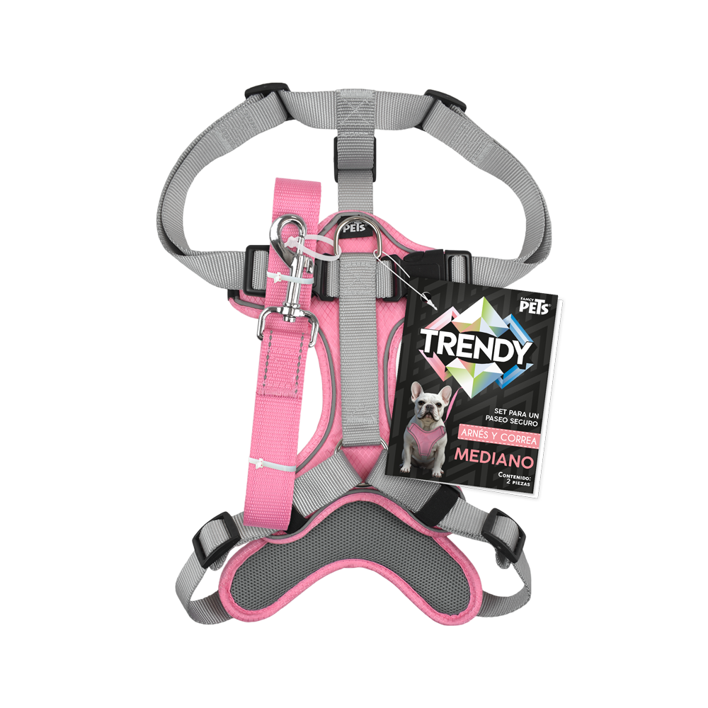 SET ARNES Y CORREA TRENDY MED ROSA