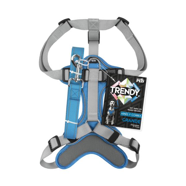 SET ARNES Y CORREA TRENDY GDE AZUL