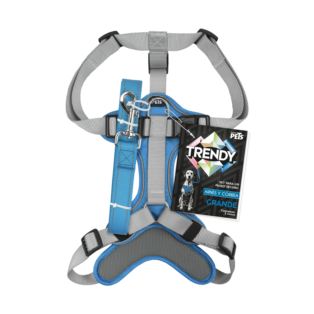 SET ARNES Y CORREA TRENDY GDE AZUL