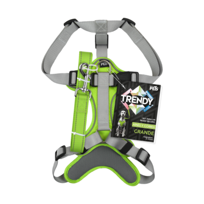 SET ARNES Y CORREA TRENDY GDE VERDE