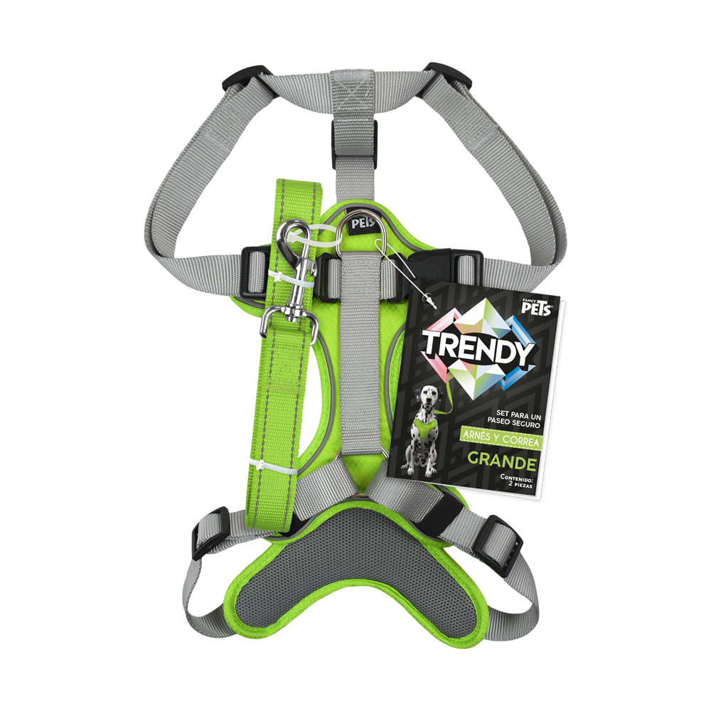 SET ARNES Y CORREA TRENDY GDE VERDE