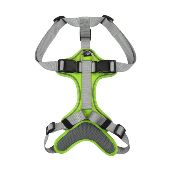 SET ARNES Y CORREA TRENDY GDE VERDE