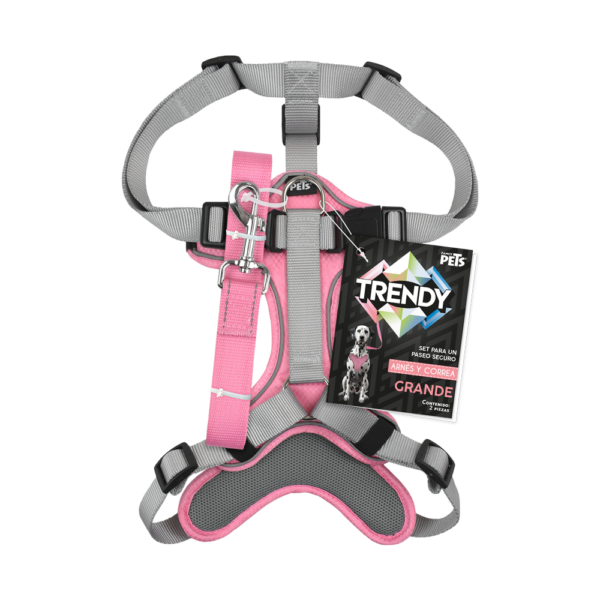 SET ARNES Y CORREA TRENDY GDE ROSA