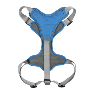 SET ARNES Y CORREA TRENDY XGDE AZUL