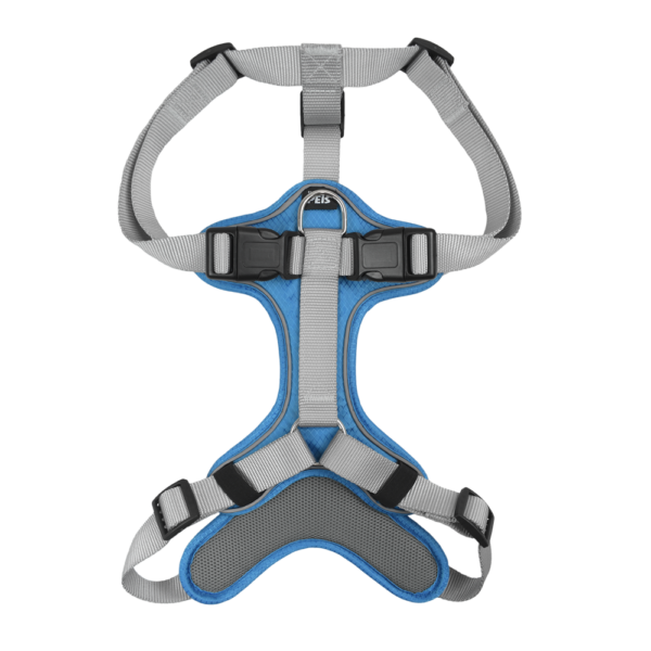 SET ARNES Y CORREA TRENDY XGDE AZUL