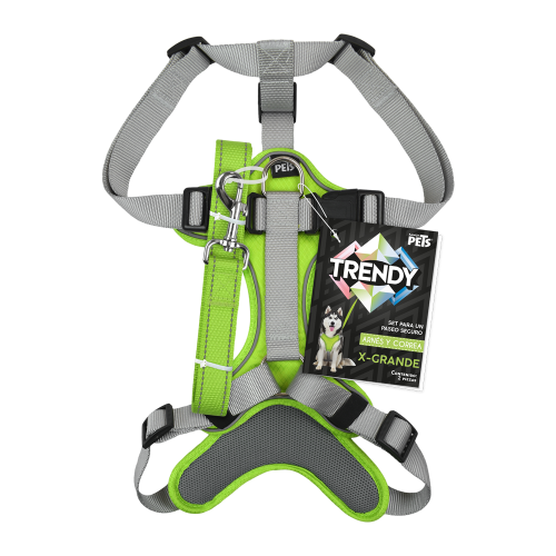 SET ARNES Y CORREA TRENDY XGDE VERDE