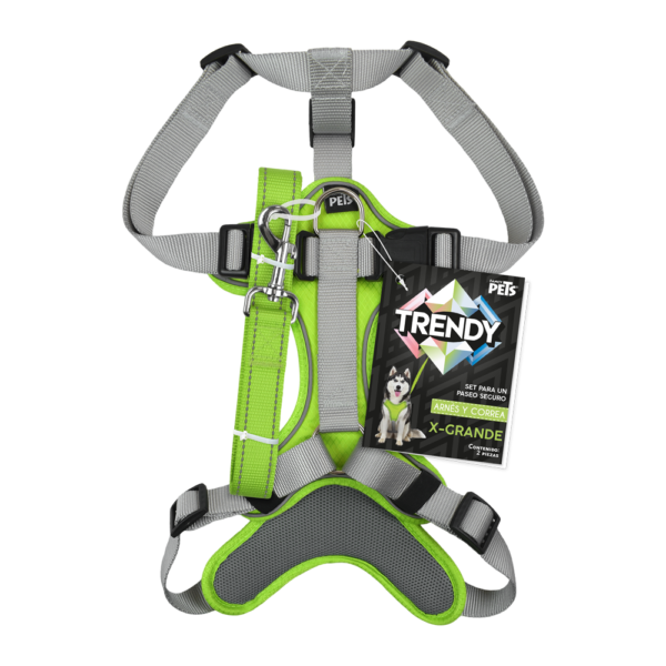 SET ARNES Y CORREA TRENDY XGDE VERDE