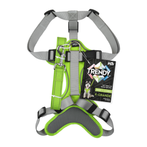 SET ARNES Y CORREA TRENDY XGDE VERDE