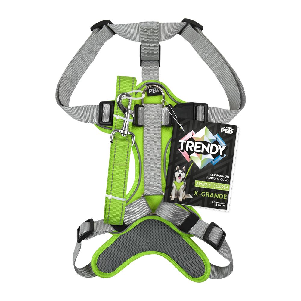 SET ARNES Y CORREA TRENDY XGDE VERDE