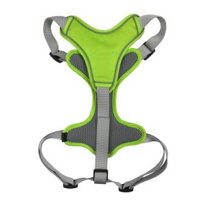 SET ARNES Y CORREA TRENDY XGDE VERDE
