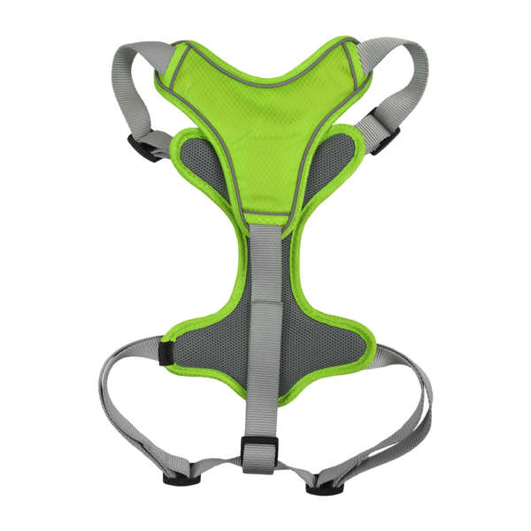 SET ARNES Y CORREA TRENDY XGDE VERDE