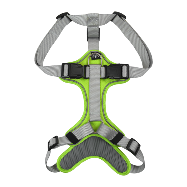 SET ARNES Y CORREA TRENDY XGDE VERDE