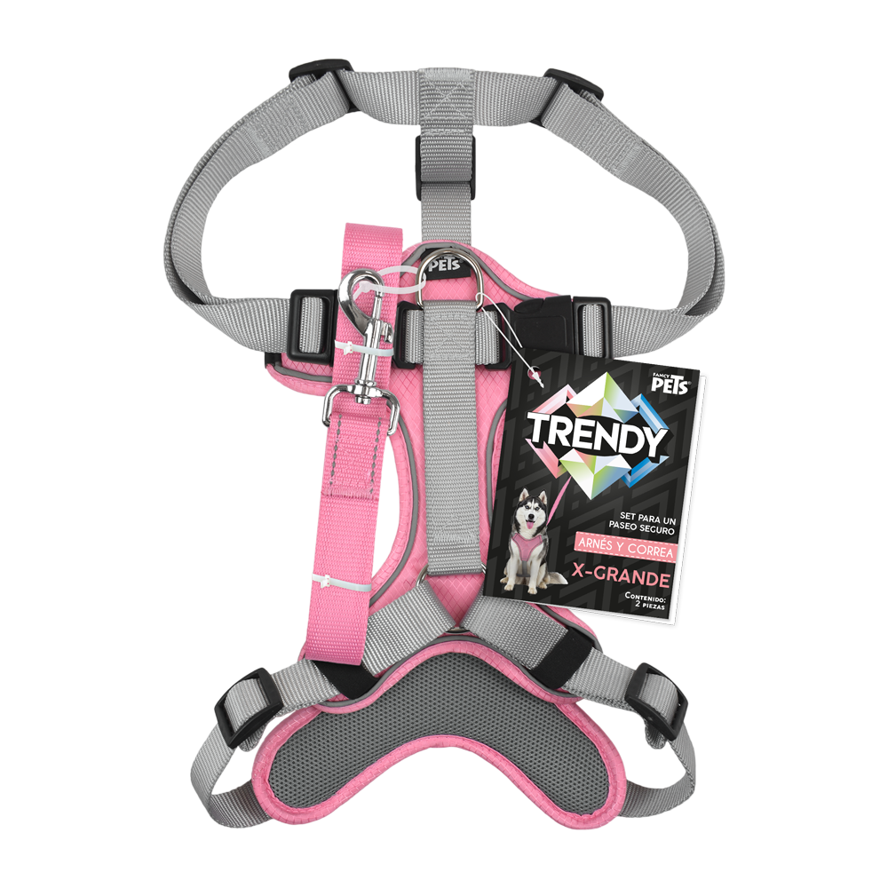 SET ARNES Y CORREA TRENDY XGDE ROSA
