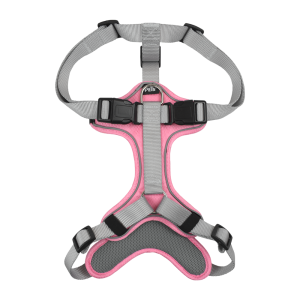 SET ARNES Y CORREA TRENDY XGDE ROSA