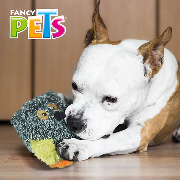 JUGUETE BUHO BARRIGON BUDDIES