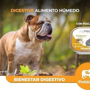 NUPEC DIGESTIVE LATA