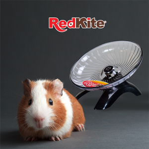 JUGUETE DISCO CH EJERCITADOR P/HAMSTER