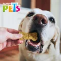 Nutri Bark Galletas para Perro con Crema de Cacahuate 130 g Fancy Pets
