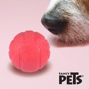 Juguete Pelota con Aroma Fresa Sniff para Perro Fancy Pets