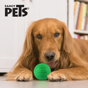 Juguete Pelota con Aroma Sandía Sniff para Perro Fancy Pets