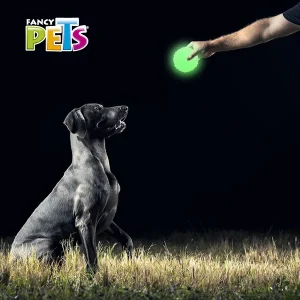 Juguete Pelota para Perro Diamante Glow Fancy Pets