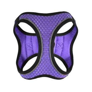 Set Arnés y Correa para Perro Sportie Chico Violeta Fancy Pets