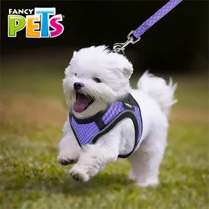 Set Arnés y Correa para Perro Sportie Chico Violeta Fancy Pets