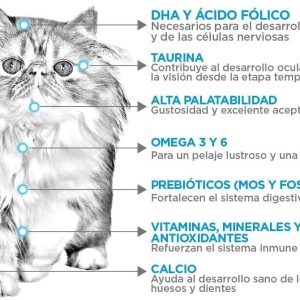 NUPEC FELINO KITTEN 3KG