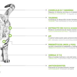 NUPEC FELINO ADULTO INDOOR 5KG