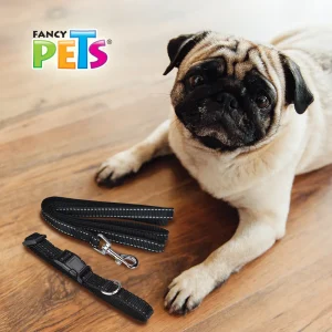 Collar con Correa y Bandas Reflejantes Chico Fancy Pets - vista 4