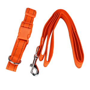 Collar con Correa y Bandas Reflejantes Mediano Fancy Pets - vista 2