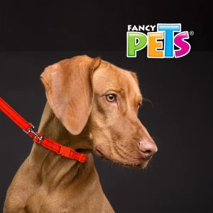 Collar con Correa y Bandas Reflejantes Mediano Fancy Pets - vista 3