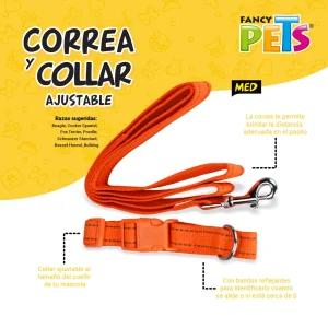 Collar con Correa y Bandas Reflejantes Mediano Fancy Pets - vista 4