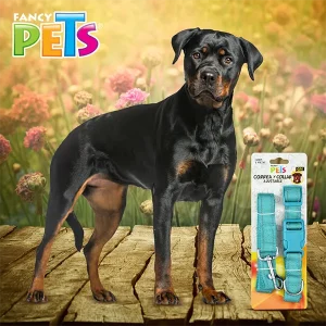 Collar con Correa y Bandas Reflejantes Grande Fancy Pets - vista 3